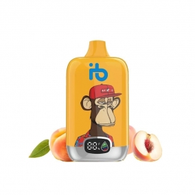 Jednorázová E-cigareta 12 000 Puffs - Broskev & Ovocná Šťáva | Osvěžující ovocná směs